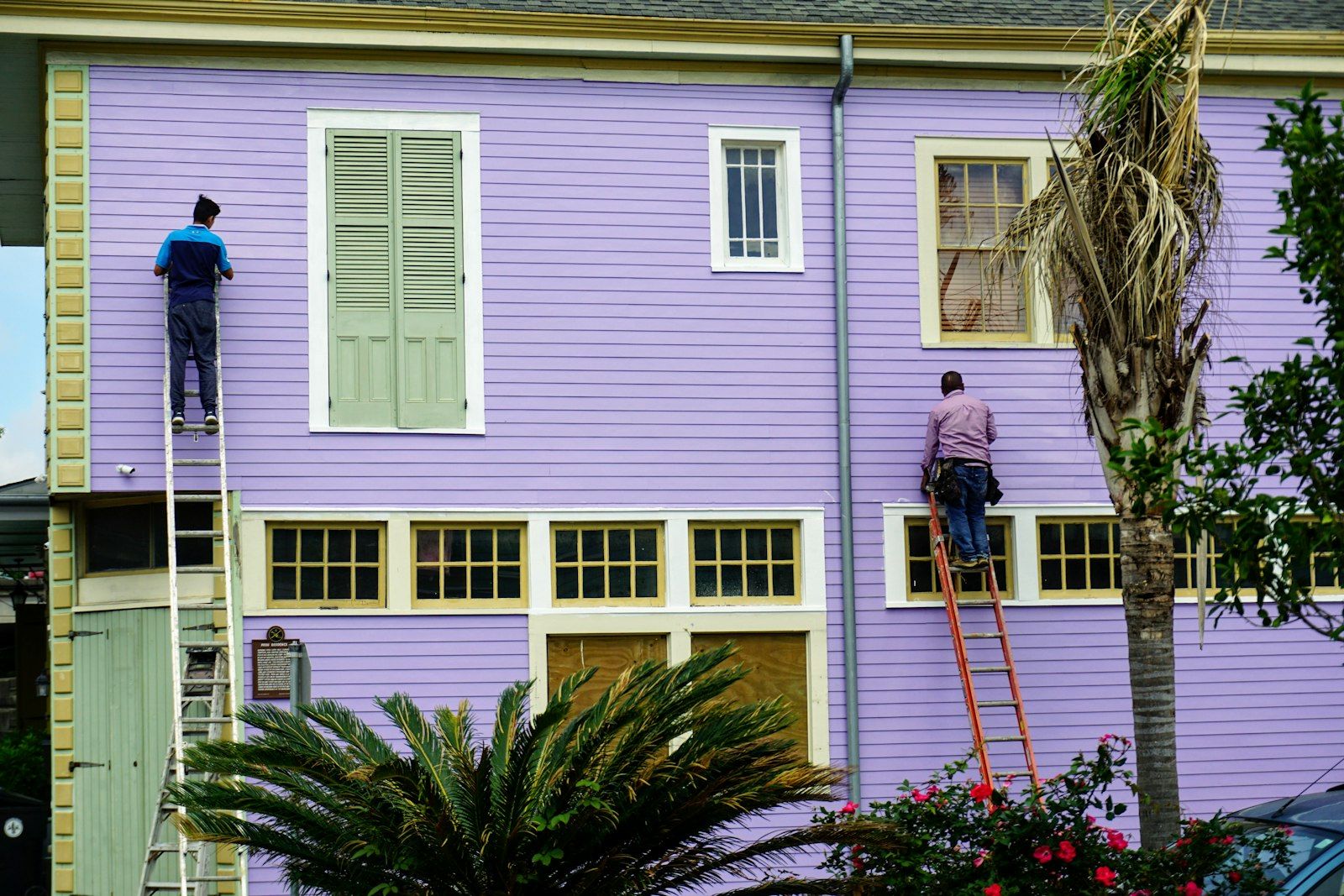 Two painters on ladders painting the lavender siding of a two-story house